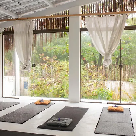 Casa Prema - Experiencia Vegana E Terapeutica A Beira-Mar-3